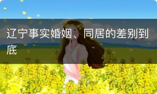 辽宁事实婚姻、同居的差别到底