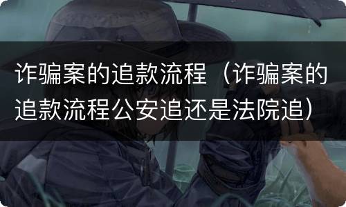 诈骗案的追款流程（诈骗案的追款流程公安追还是法院追）