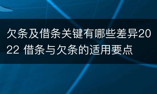 欠条及借条关键有哪些差异2022 借条与欠条的适用要点