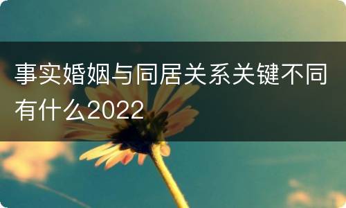 事实婚姻与同居关系关键不同有什么2022