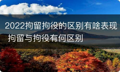 2022拘留拘役的区别有啥表现 拘留与拘役有何区别