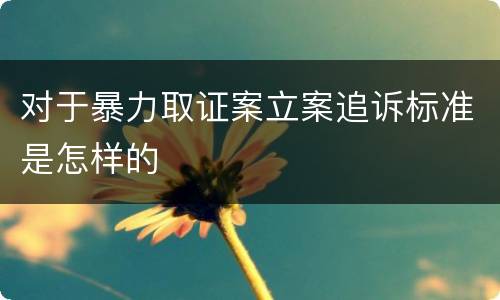 对于暴力取证案立案追诉标准是怎样的