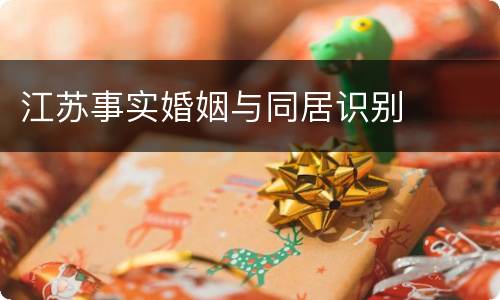 江苏事实婚姻与同居识别
