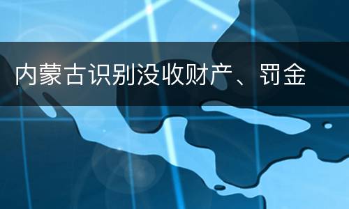 内蒙古识别没收财产、罚金