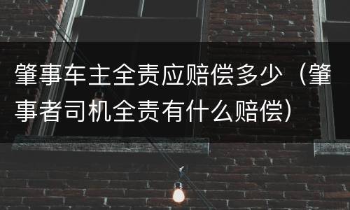 肇事车主全责应赔偿多少（肇事者司机全责有什么赔偿）