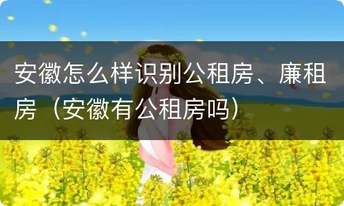 安徽怎么样识别公租房、廉租房（安徽有公租房吗）