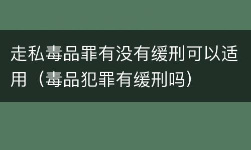 走私毒品罪有没有缓刑可以适用（毒品犯罪有缓刑吗）