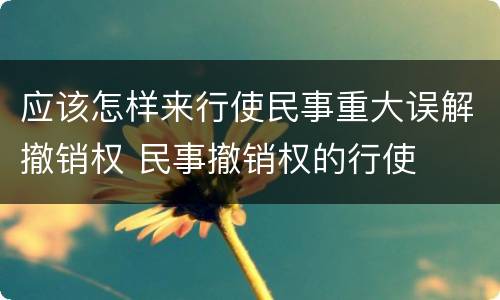 应该怎样来行使民事重大误解撤销权 民事撤销权的行使