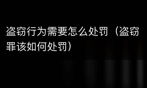 盗窃行为需要怎么处罚（盗窃罪该如何处罚）