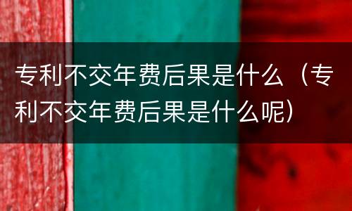 专利不交年费后果是什么（专利不交年费后果是什么呢）