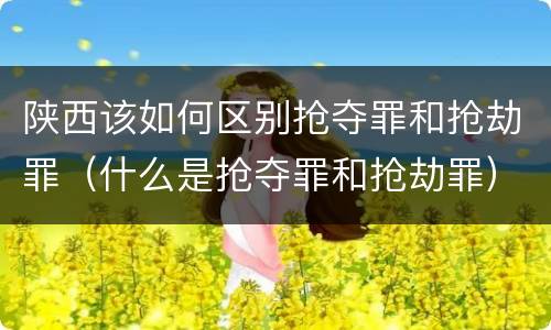 陕西该如何区别抢夺罪和抢劫罪（什么是抢夺罪和抢劫罪）