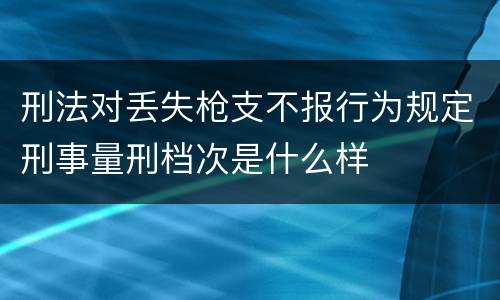 刑法对丢失枪支不报行为规定刑事量刑档次是什么样