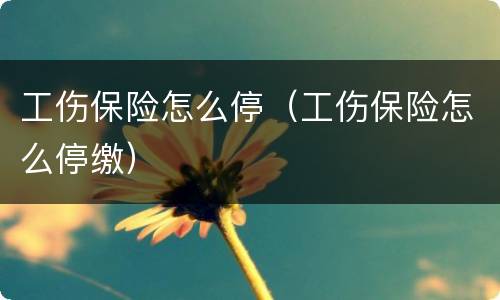 工伤保险怎么停（工伤保险怎么停缴）