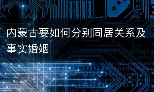 内蒙古要如何分别同居关系及事实婚姻