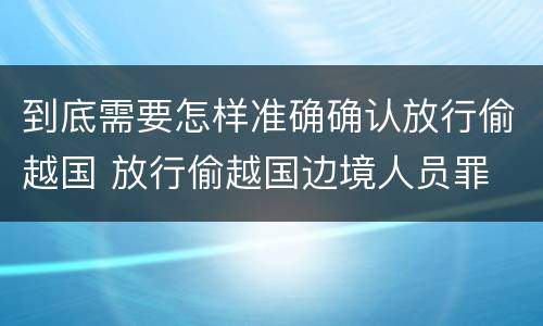 到底需要怎样准确确认放行偷越国 放行偷越国边境人员罪