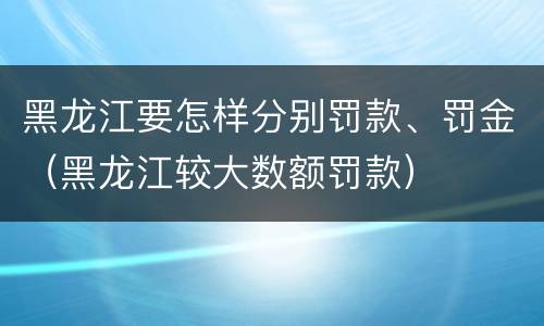 黑龙江要怎样分别罚款、罚金（黑龙江较大数额罚款）
