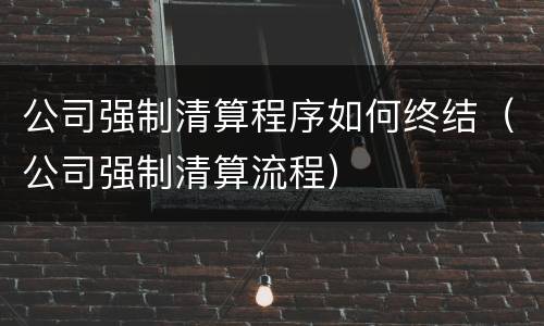 公司强制清算程序如何终结（公司强制清算流程）