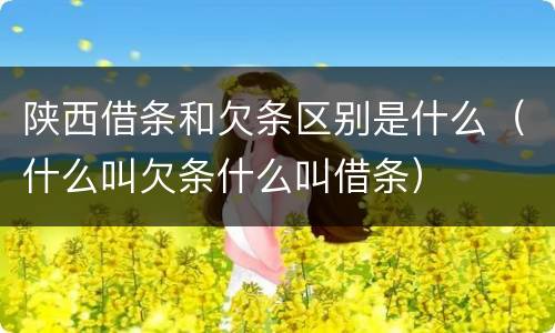 陕西借条和欠条区别是什么(什么叫欠条什么叫借条)