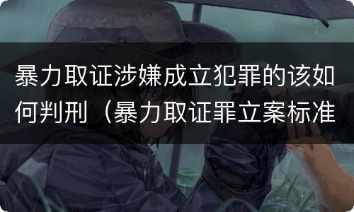 暴力取证涉嫌成立犯罪的该如何判刑（暴力取证罪立案标准）