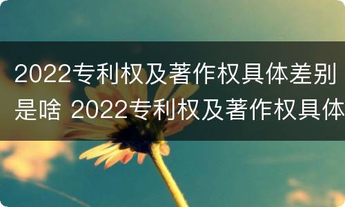 2022专利权及著作权具体差别是啥 2022专利权及著作权具体差别是啥呢