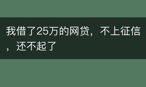 我借了25万的网贷，不上征信，还不起了
