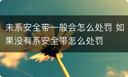 未系安全带一般会怎么处罚 如果没有系安全带怎么处罚