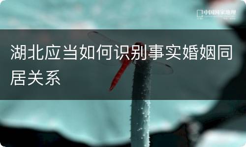 湖北应当如何识别事实婚姻同居关系