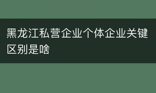 黑龙江私营企业个体企业关键区别是啥