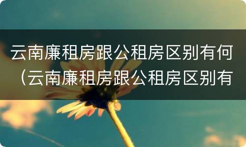 云南廉租房跟公租房区别有何（云南廉租房跟公租房区别有何联系）