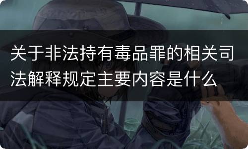 关于非法持有毒品罪的相关司法解释规定主要内容是什么