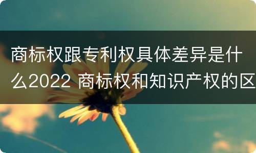 商标权跟专利权具体差异是什么2022 商标权和知识产权的区别