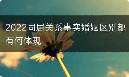2022同居关系事实婚姻区别都有何体现