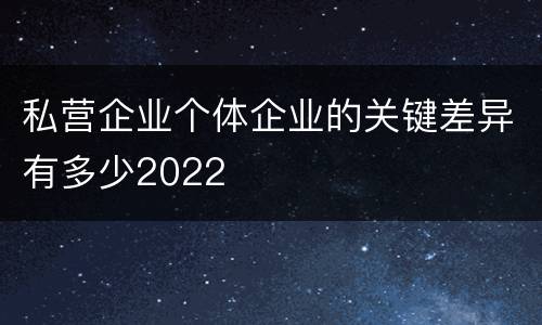 私营企业个体企业的关键差异有多少2022