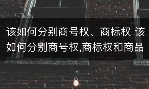 该如何分别商号权、商标权 该如何分别商号权,商标权和商品权