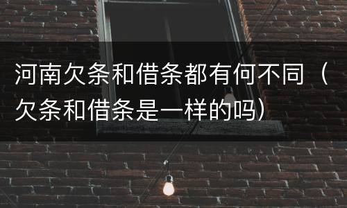 河南欠条和借条都有何不同（欠条和借条是一样的吗）