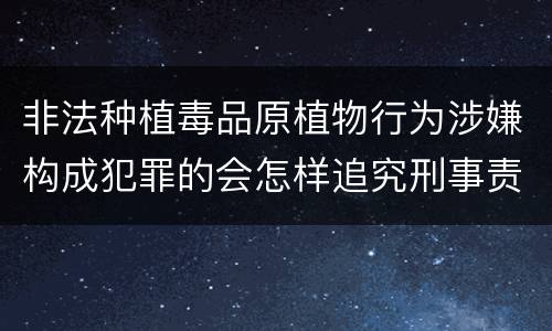 非法种植毒品原植物行为涉嫌构成犯罪的会怎样追究刑事责任