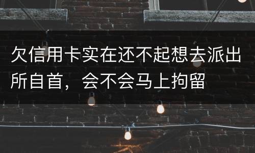 欠信用卡实在还不起想去派出所自首，会不会马上拘留