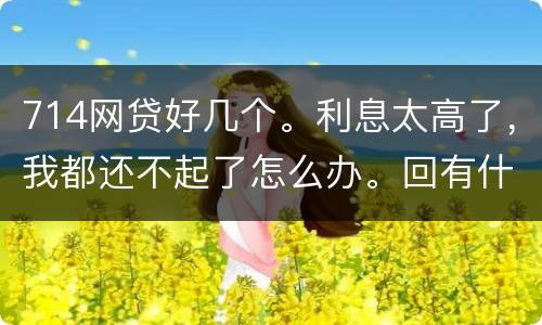 714网贷好几个。利息太高了，我都还不起了怎么办。回有什么后果