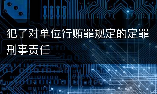 犯了对单位行贿罪规定的定罪刑事责任