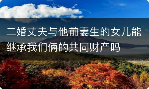 二婚丈夫与他前妻生的女儿能继承我们俩的共同财产吗