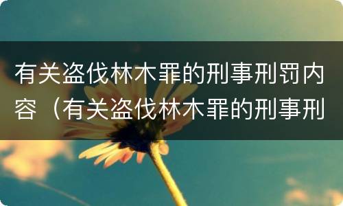 有关盗伐林木罪的刑事刑罚内容（有关盗伐林木罪的刑事刑罚内容有哪些）