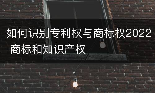 如何识别专利权与商标权2022 商标和知识产权