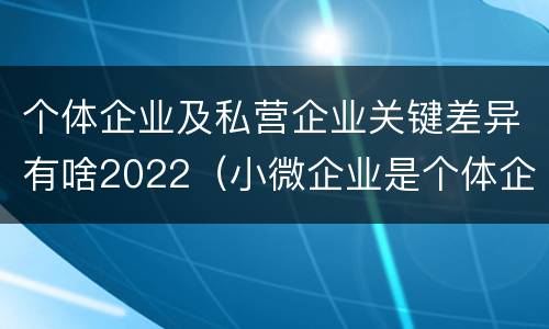 个体企业及私营企业关键差异有啥2022（小微企业是个体企业还是私营企业）