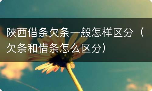 陕西借条欠条一般怎样区分（欠条和借条怎么区分）