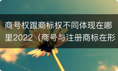 商号权跟商标权不同体现在哪里2022（商号与注册商标在形式上是一样的）