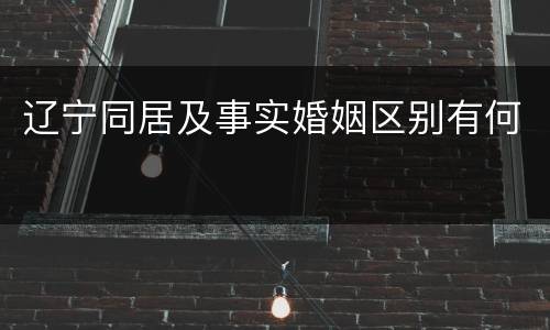 辽宁同居及事实婚姻区别有何