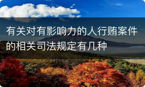有关对有影响力的人行贿案件的相关司法规定有几种