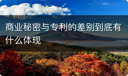 商业秘密与专利的差别到底有什么体现