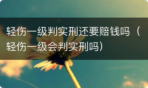轻伤一级判实刑还要赔钱吗（轻伤一级会判实刑吗）