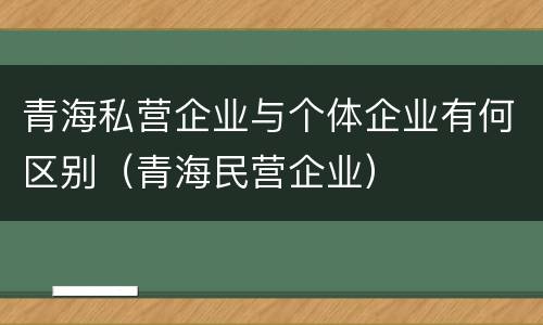 青海私营企业与个体企业有何区别（青海民营企业）